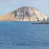 Alexander