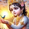 Jayesh Patil