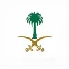 Dina Alghamdi