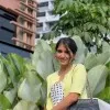 Hira Ali