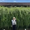 Elisa Dwi Apriani