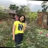 Giang Thuy