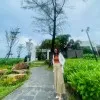 Chuon Sothea