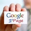 SEO Amy White Services