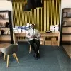 Dylan Daniel M’BA CLEEF