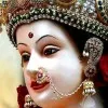 mahesh mudhiraj