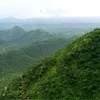 dharam vir poonia