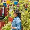 Nandini