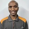 Zongamele kraai
