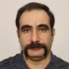 Hamed Farmahini Farahani
