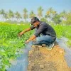 Shubham Patil