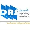 Dynamic Reporting Solutions