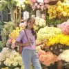 Anju ov