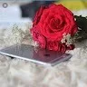 Syeda Asma