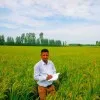 Mohit Tyagi