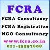 ngo Consultancy