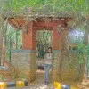Rukshana