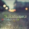 Islam Zoherahmedabdelaziz