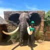 Sithokozile Mulunjwana