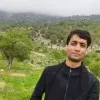 Amir Shamsi