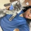 Kayla Williams