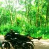 DHEERAJ SR