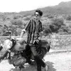 Gaurav Shrma