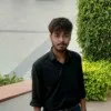 Tarik Ansari