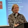 Susan DeMien
