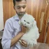 Umar Ashraf