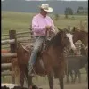 Chris Daily