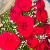 Heena Fathima