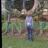 Malach Mayani