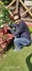 Vinod Madhyani