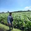 Yoga Setiawan