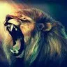 yogesh singh