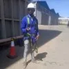 amalex muthengi
