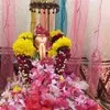 Vikram Satwara Satwara