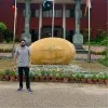 Hassan Javed