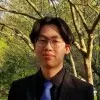 Roy Dinh