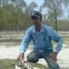 Dawood chy