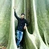 Rachmat setiadi