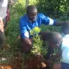 STEPHEN ODHIAMBO
