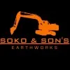 David Sokolovic