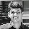Sreesat Subhankar Ray