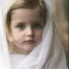 Tehseen Rafi
