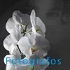 Nic Voutsas