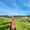 Chithra
