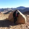 Tarek Shokry