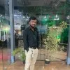 girish